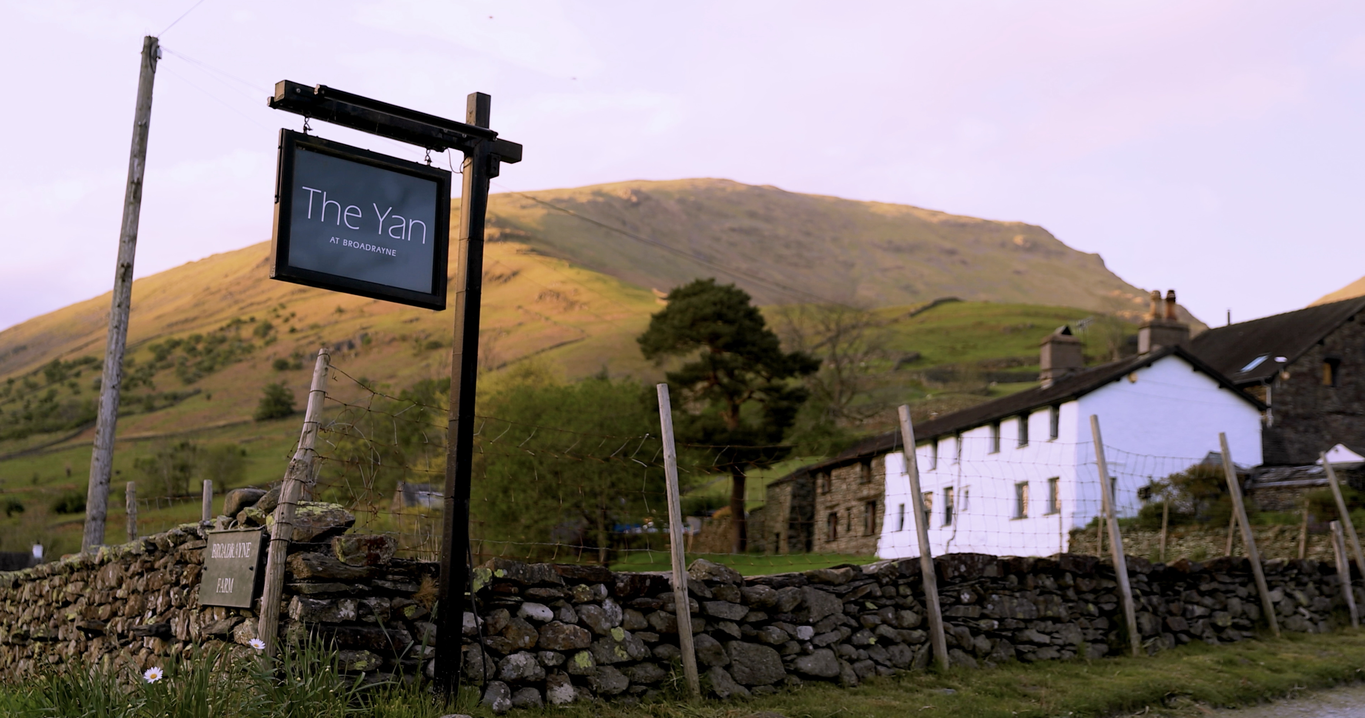 Dog Friendly, Grasmere